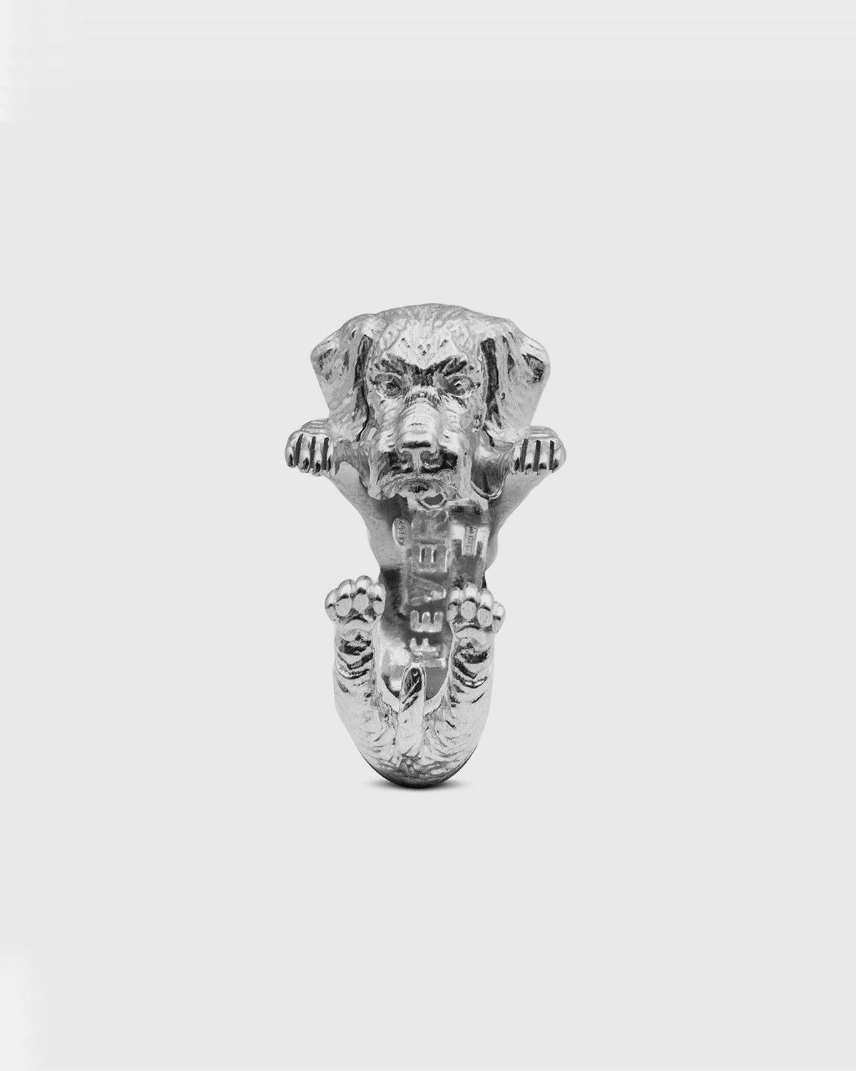 BAGUE HUG TECKEL À POIL DUR / ARGENT