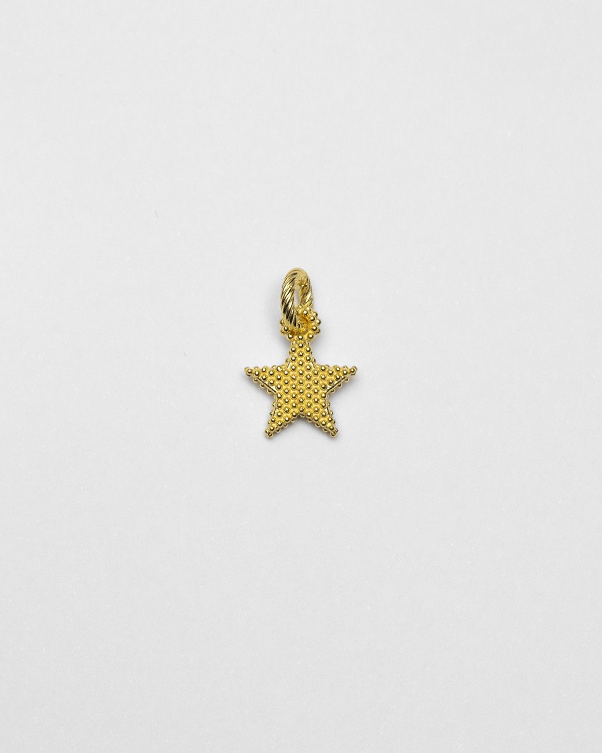 ANHÄNGER CHARM STAR GEPUNKTET / GELBGOLD POLIERT